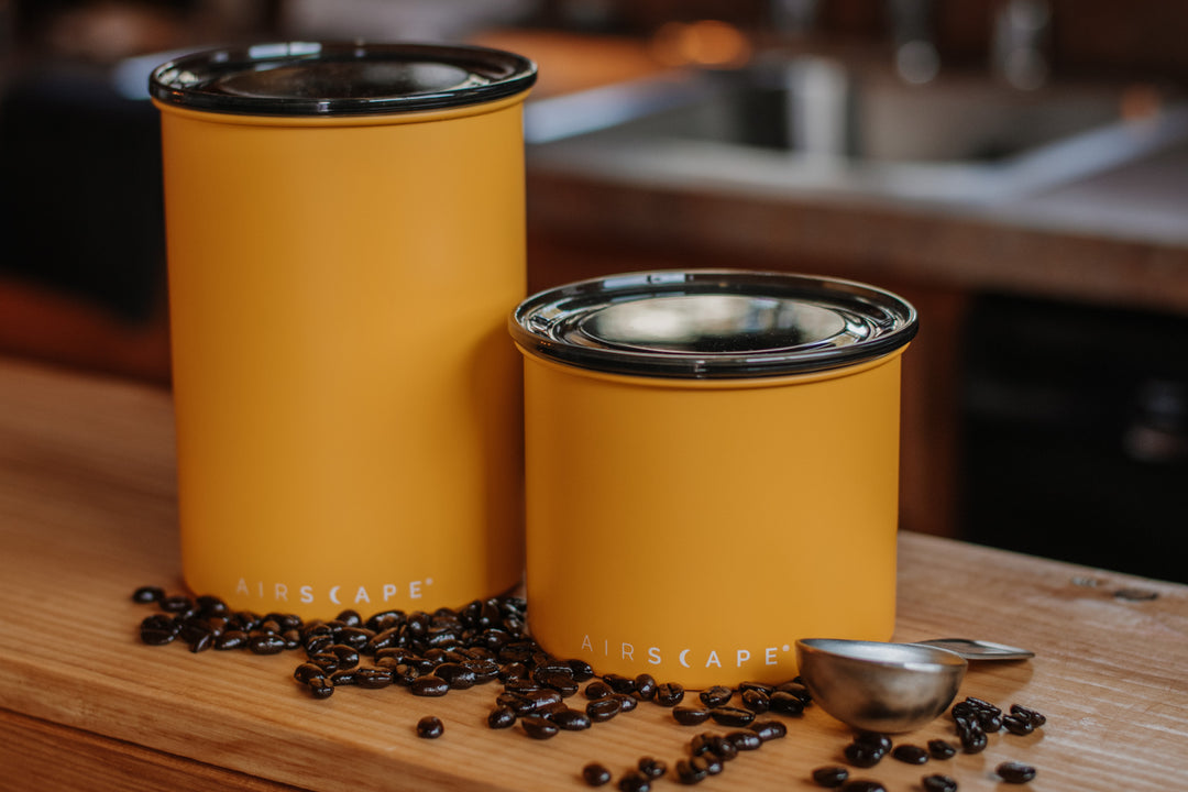 Airscape Coffee Canister – Classic